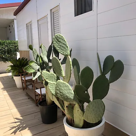 Villaggio Benvivere Σενιγκάλια